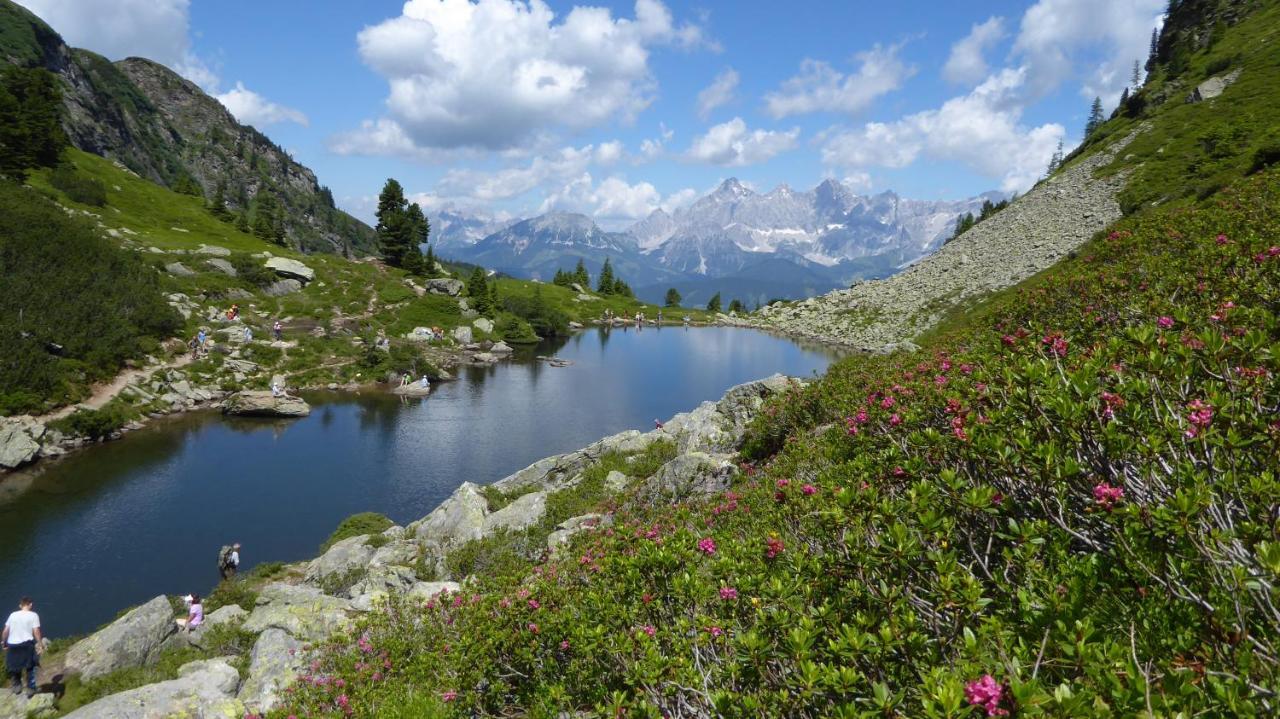 Bankwirt Ξενοδοχείο Schladming Εξωτερικό φωτογραφία